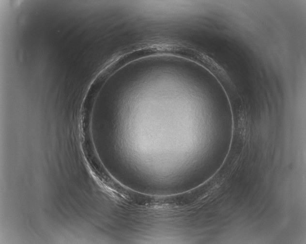 X0000084020730200702161227