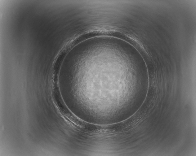 X0000084020736200702161227
