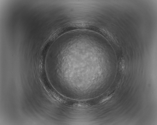 X0000084020739200702161227
