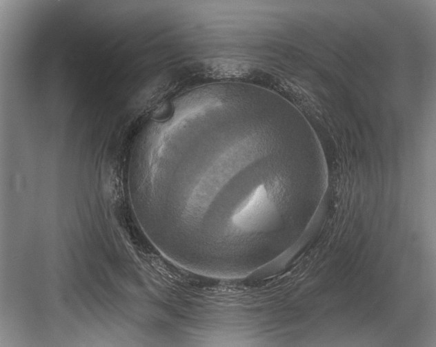 X0000084020743200702161227