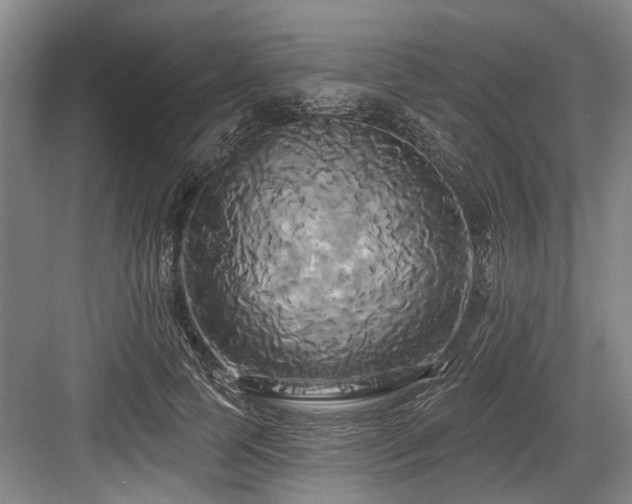X0000084020745200702161227