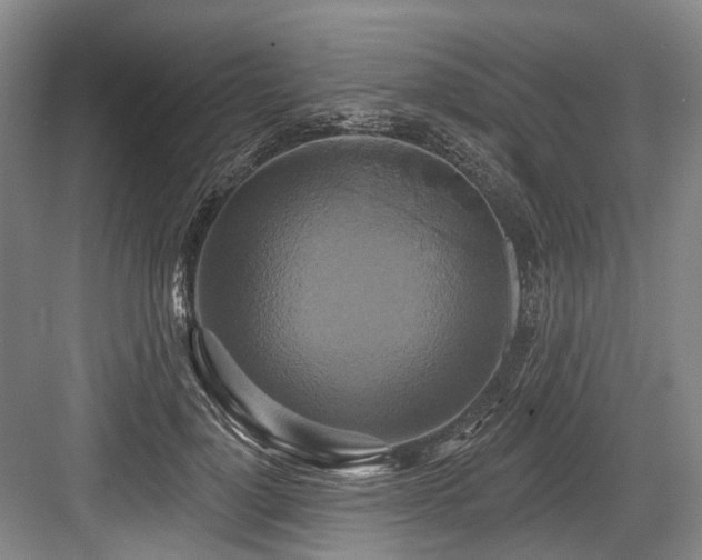 X0000084020748200702161227
