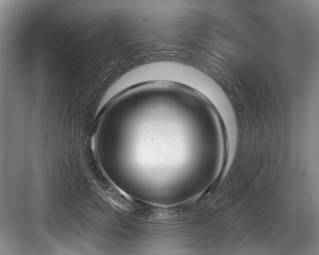 X0000084020750200702161227