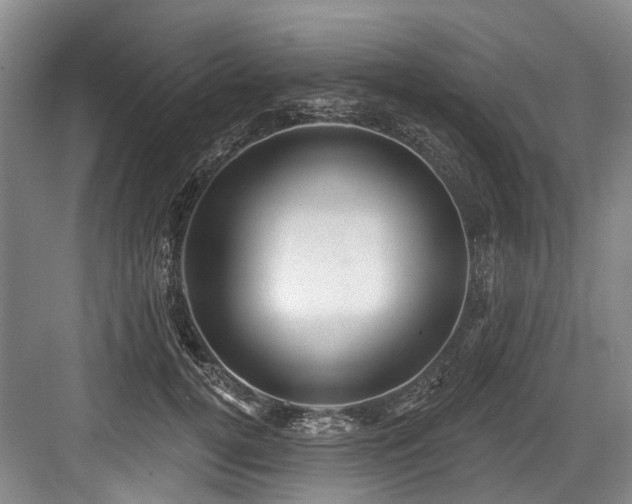 X0000084020752200702161227