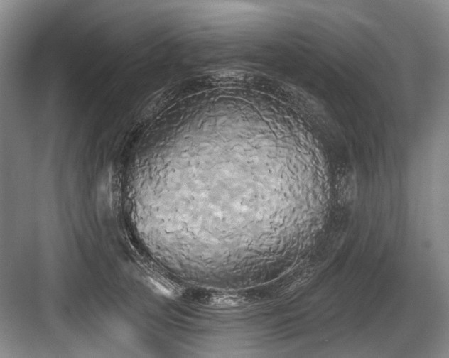 X0000084020753200702161227