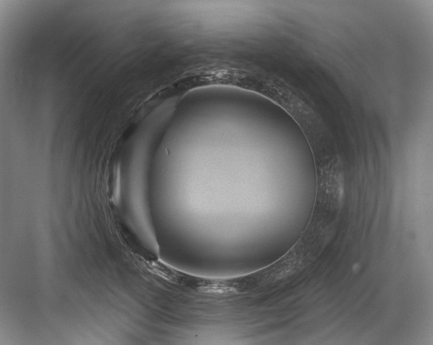 X0000084020754200702161227