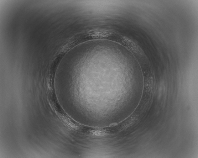 X0000084020755200702161227