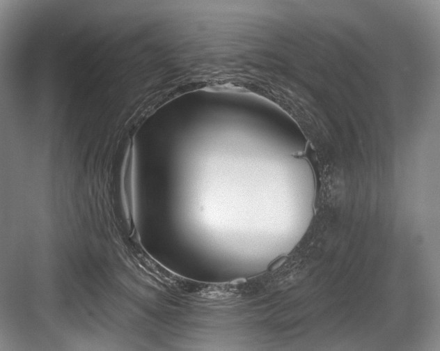 X0000084020756200702161227