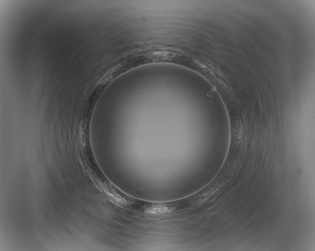 X0000084020759200702161227