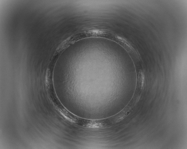 X0000084020760200702161227
