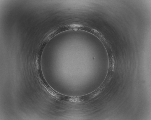 X0000084020762200702161227