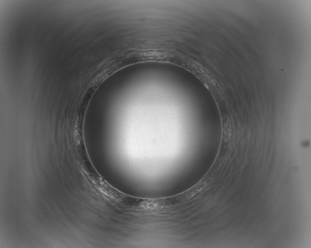 X0000084020764200702161227