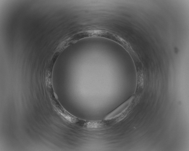 X0000084020766200702161228