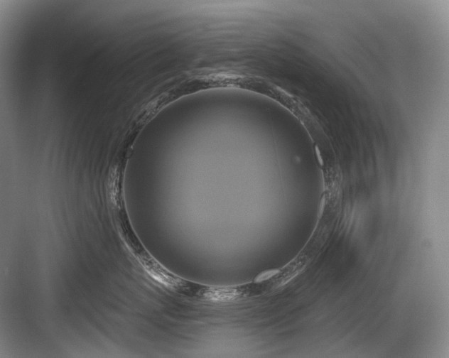 X0000084020767200702161228