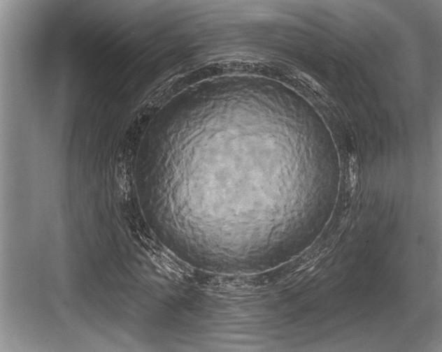 X0000084020774200702161227