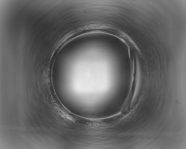 X0000084020786200702161226