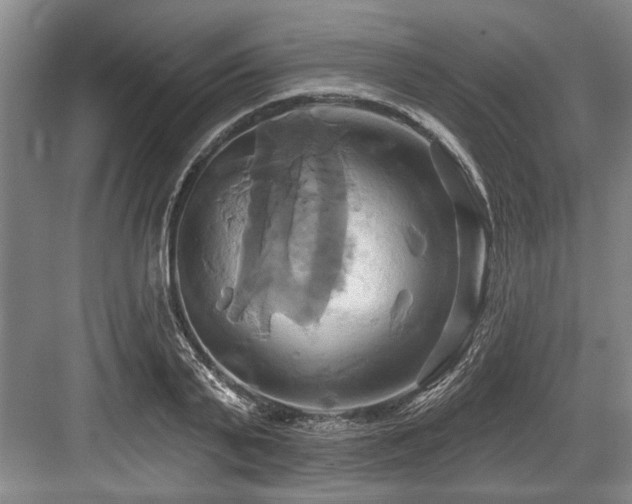 X0000084020791200702161226