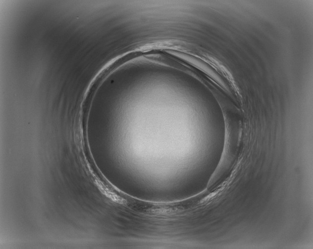 X0000084020792200702161226