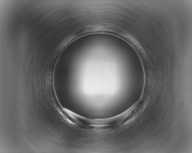 X0000084020793200702161226