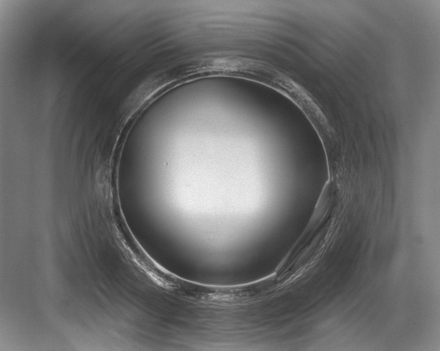 X0000084020794200702161226