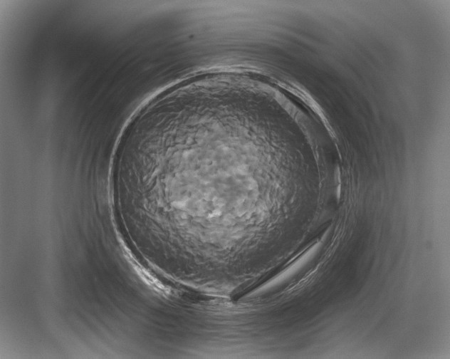 X0000084020795200702161226