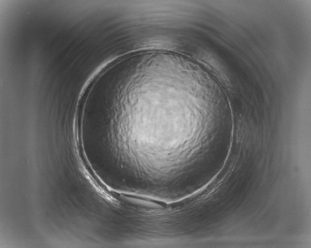 X0000084020796200702161226