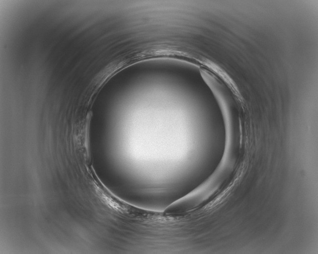 X0000084020801200702161226