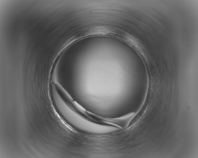 X0000084020802200702161226