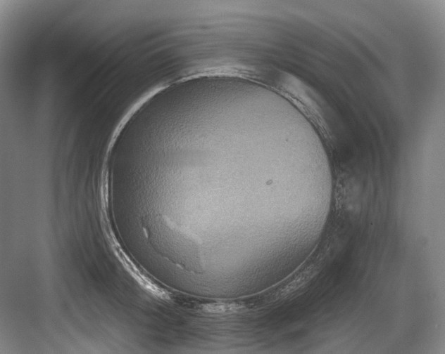 X0000084020804200702161226