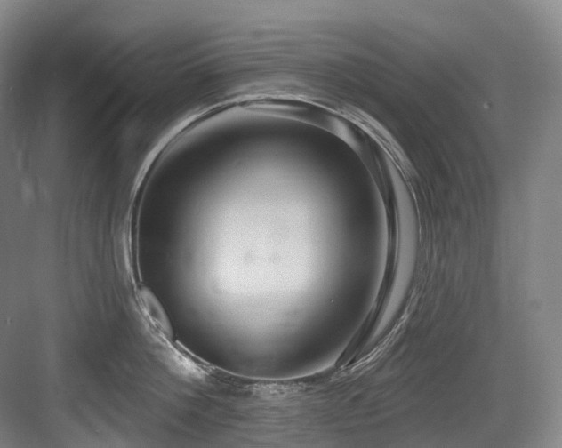 X0000084020812200702161226