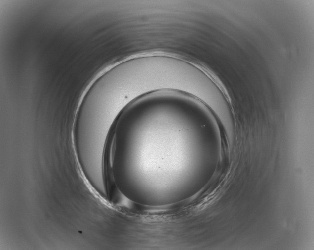 X0000084020813200702161226
