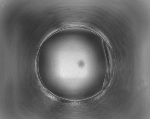 X0000084020814200702161226