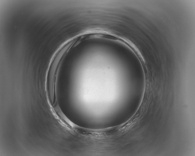 X0000084020815200702161226
