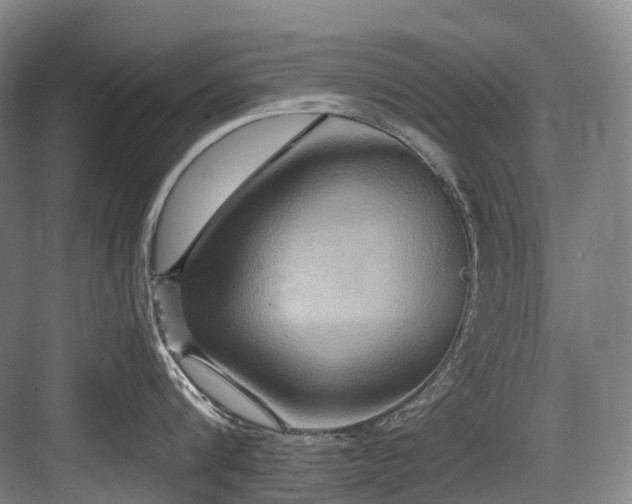 X0000084020816200702161226