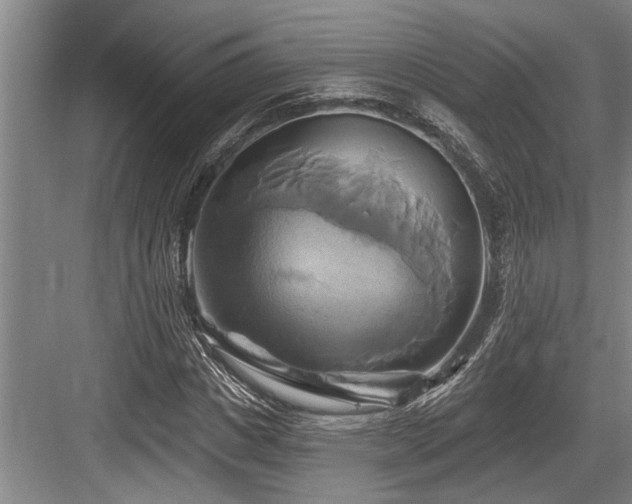 X0000084020825200702161225