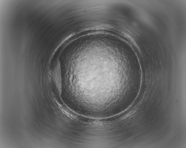 X0000084020827200702161225