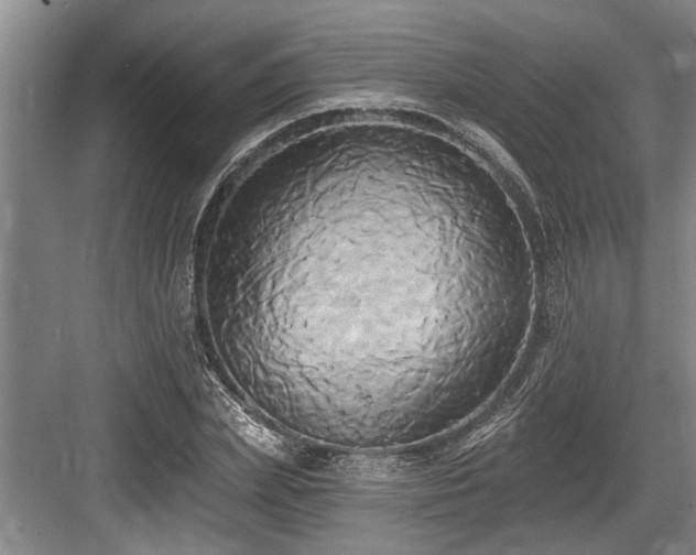 X0000084020831200702161225