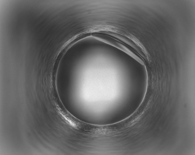 X0000084020834200702161225