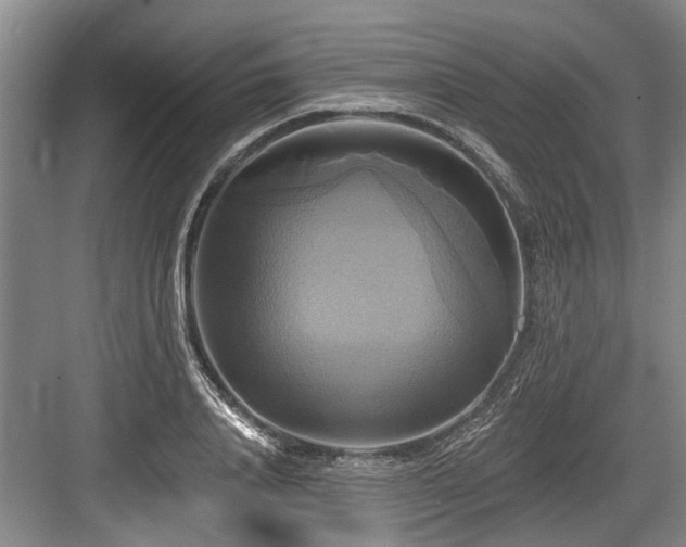 X0000084020840200702161226