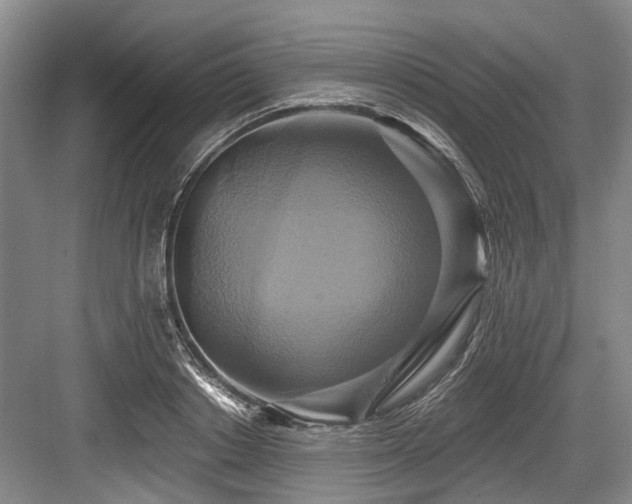 X0000084020842200702161226