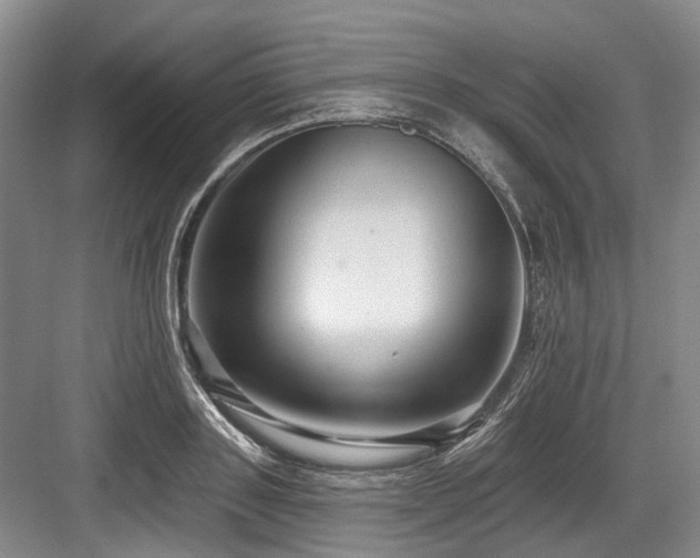 X0000084020843200702161226