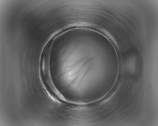 X0000084020845200702161226
