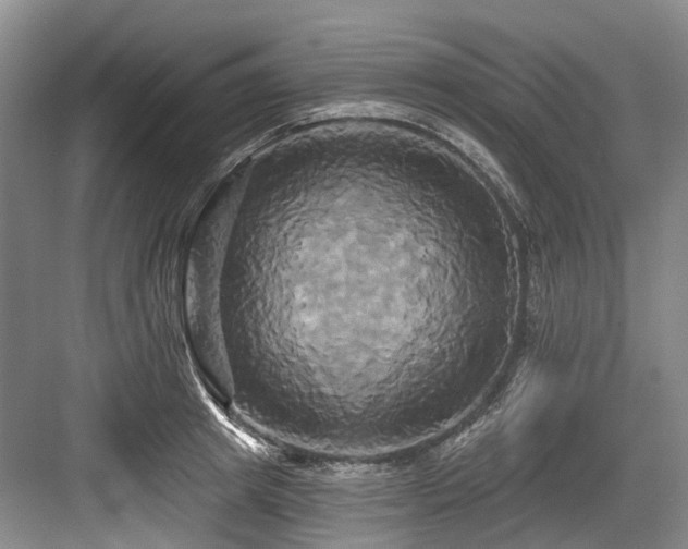 X0000084020849200702161226