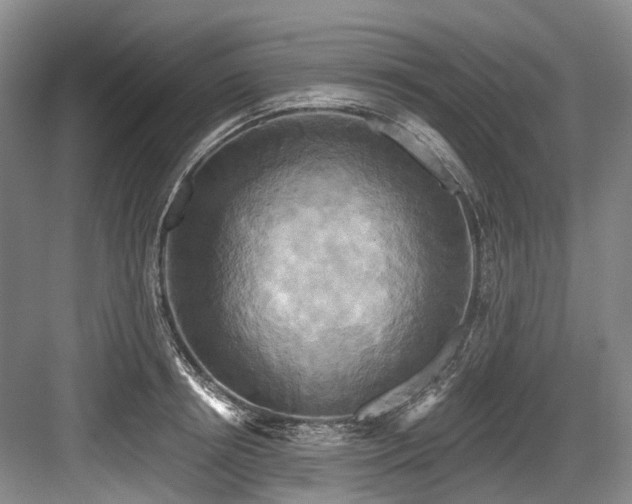 X0000084020850200702161226