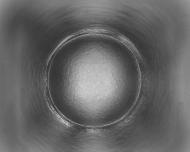 X0000084020852200702161226