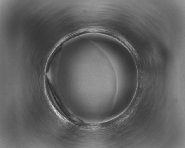 X0000084020853200702161226