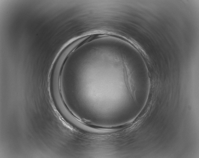 X0000084020854200702161226