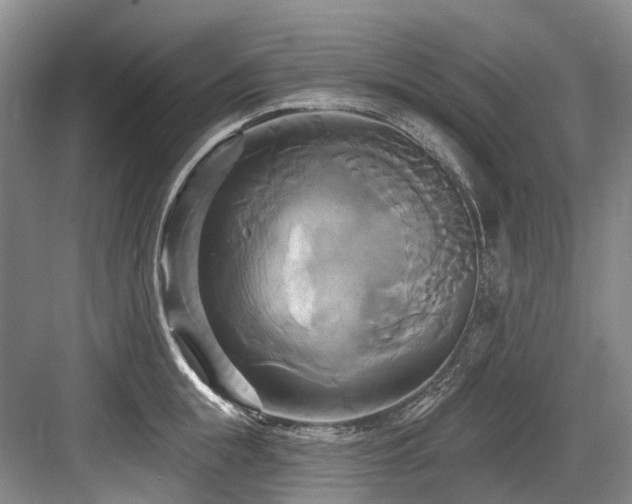 X0000084020855200702161226
