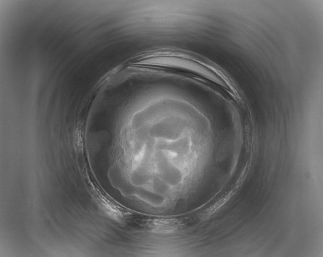 X0000084020857200702161226