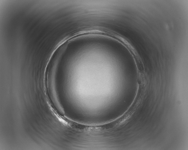 X0000084020858200702161226